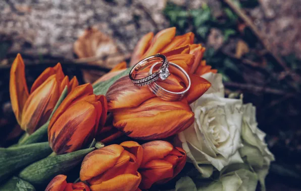 Picture holiday, romance, bouquet, ring, tulips, wedding, rose white