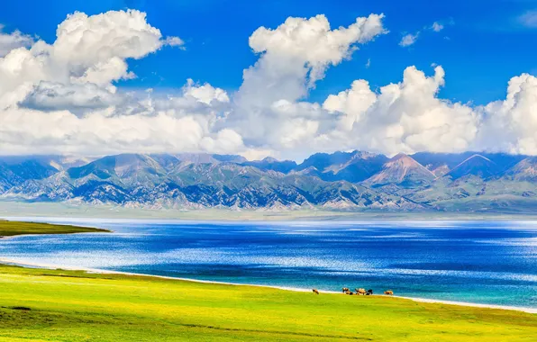 Summer, clouds, mountains, beauty, space, summer, pond, blue sky
