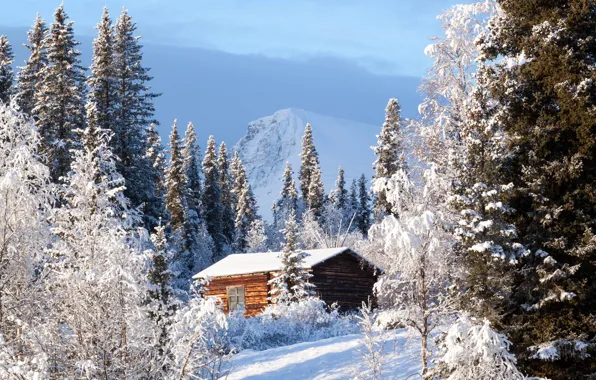 Winter, forest, house, Sweden, Sweden, Kvikkjokk