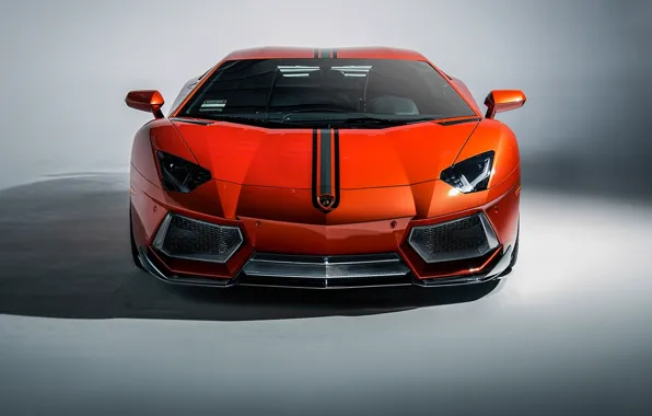 Face, supercar, lamborghini, coupe, roadster, aventador, Lamborghini, aventador