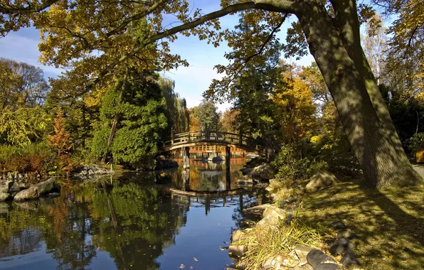 Autumn, water, trees, pond, reflection, stones, Poland, bridges