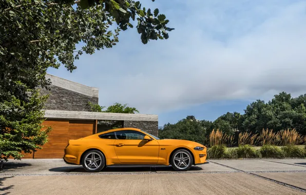 Orange, Ford, Parking, profile, 2018, fastback, Mustang GT 5.0