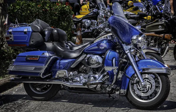 Design, motorcycle, Harley Davidson