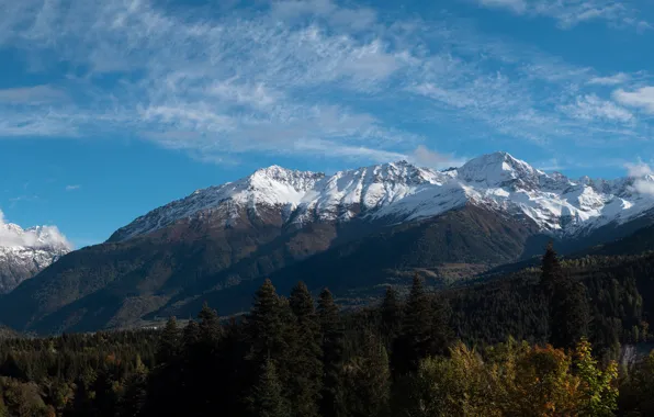 Forest, the sky, mountains, panorama, Georgia, The Caucasus mountains, Svanetia