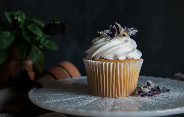 Flowers, plate, pot, cream, dessert, cupcakes, cupcake
