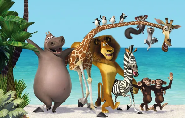 Sea, palm trees, cartoon, Leo, Madagascar, penguins, giraffe, Zebra