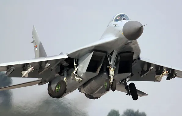 Picture the plane, fighter, the rise, the MiG-29