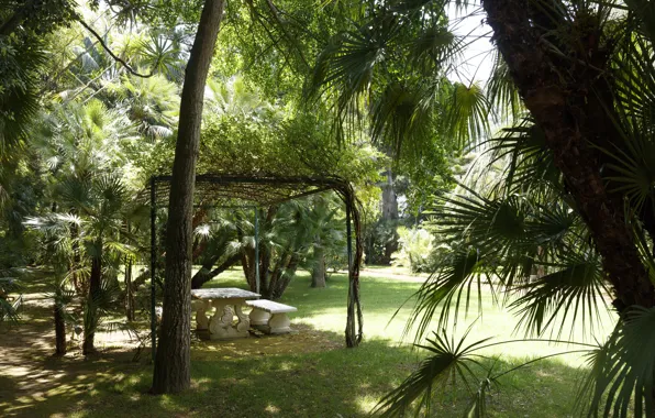 Nature, Trees, Park, Plants, Nature, Park, Trees, Plants