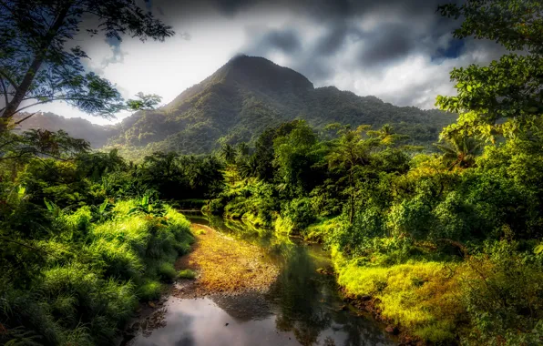 Greens, forest, clouds, trees, mountains, tropics, stream, HDR