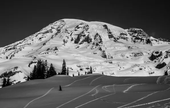 Picture Winter, Snow, Mountain, Frost, Winter, Frost, Mountain, Snow