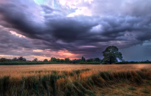Picture field, landscape, Cheshire, Congleton, Astbury