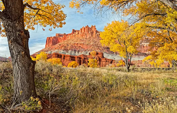 Autumn, grass, trees, mountains, nature, rocks, Utah, USA