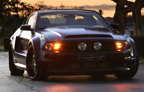 Mustang, ford, black, tuning, forgiato
