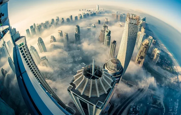 The city, fog, building, height, megapolis