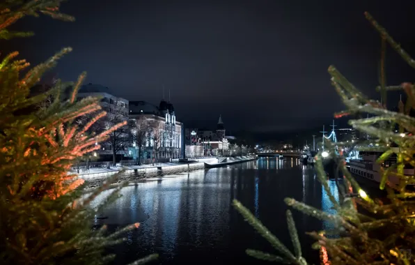 Night, the city, river