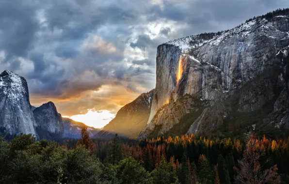 Trees, mountains, sunrise