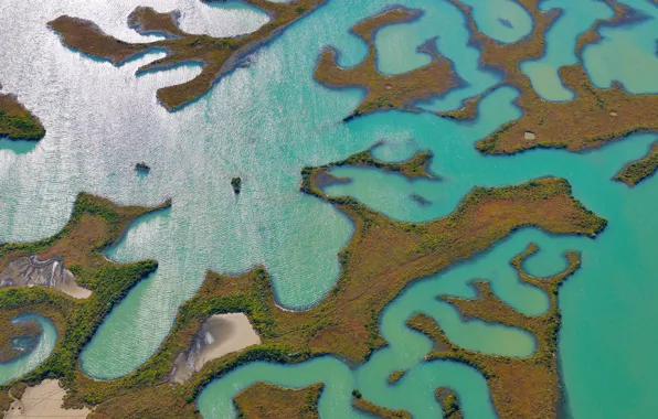 Picture water, swamp, Spain, Bahia de Cadiz Nature Park