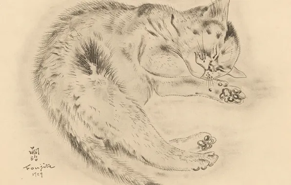 Cat, fluffy, sleeping, cutie, 1929, Tsuguharu Foujita, The Book Of Cats