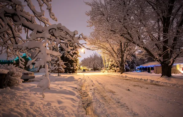 Winter, machine, snow, trees, nature, background, new year, the evening