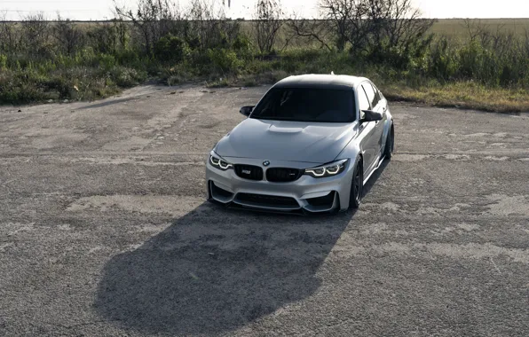 Picture Shadow, F80, M3, Daytime Running Lights