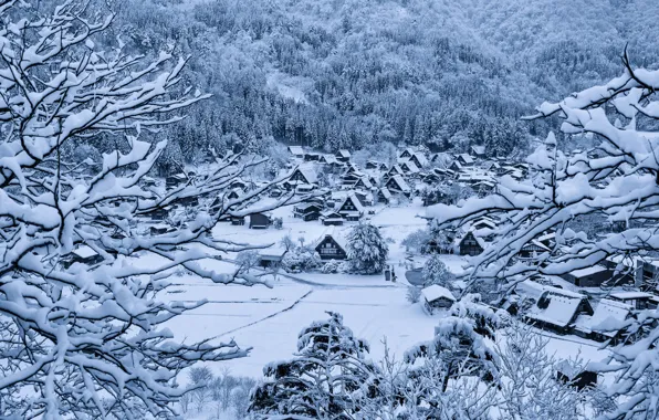 Winter, snow, home, Japan, village, the island of Honshu, Gokayama, Shirakawa-go