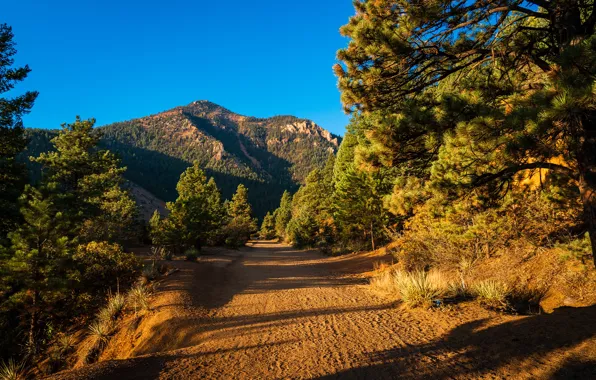 Road, forest, the sky, the sun, trees, mountains, rocks, Colorado
