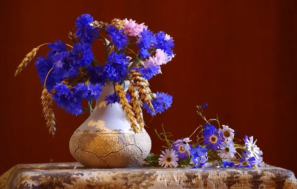 Picture flowers, still life, cornflowers