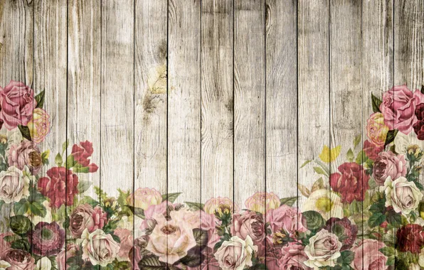 Picture background, roses, wood