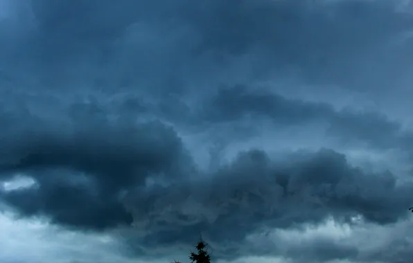 Storm, black, sky, cloud