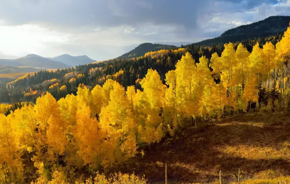 Autumn, trees, mountains