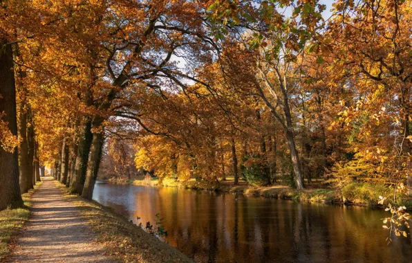Picture autumn, trees, Park, channel