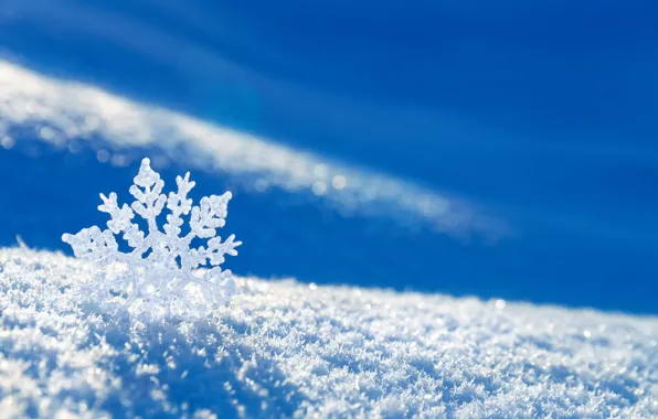 Picture winter, snow, snowflake