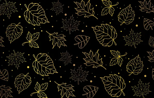 Picture autumn, leaves, yellow, pattern, foliage, texture, contour, black background