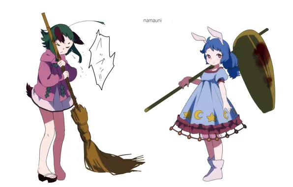 Tail, white background, broom, ears, touhou, blue hair, art, Touhou Project