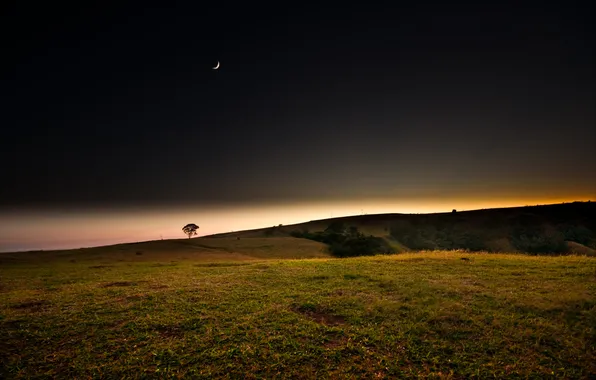 Field, sunset, night, a month