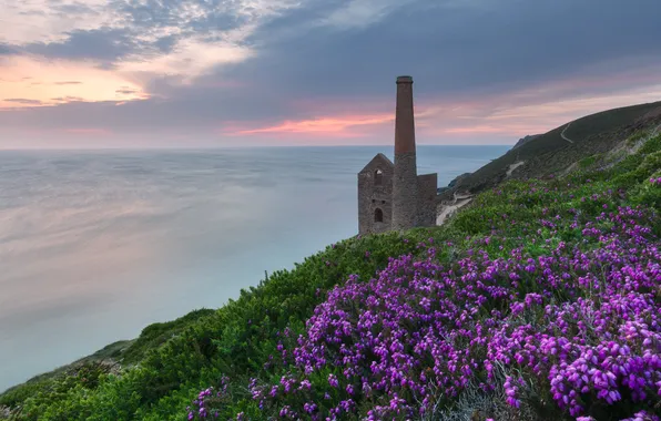 Sea, flowers, shore, the building, tower, slope, ruins