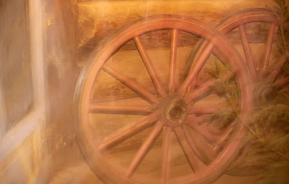 Winter, fog, tree, wheel, frost, cart, ancient