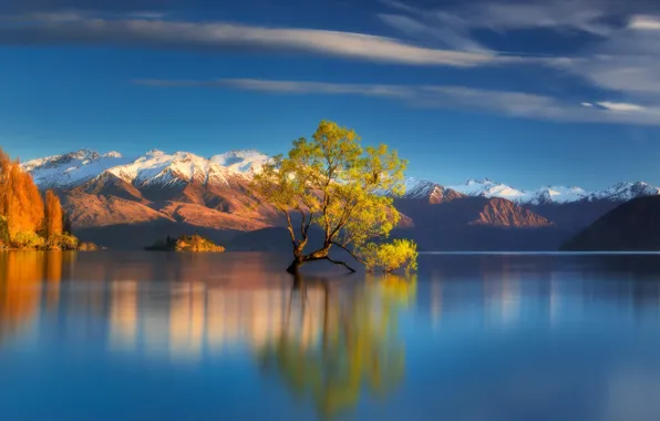 Autumn, mountains, lake, tree, New Zealand, New Zealand, Lake Wanaka, Southern Alps