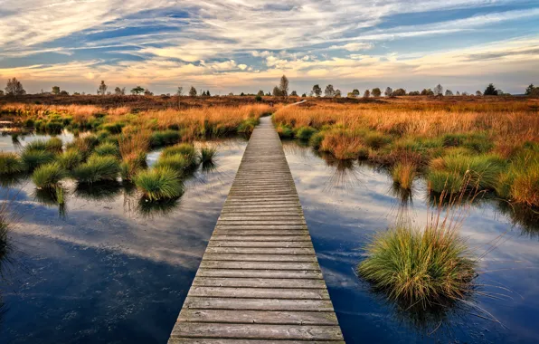 Autumn, bridge, lake, wooden, Belgium, bumps