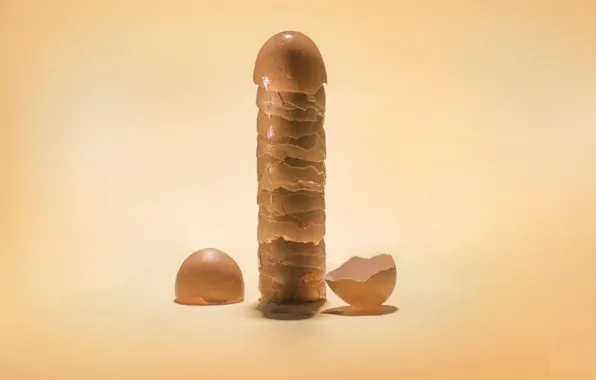 Shell, column, hint, member, vulgar