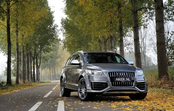Picture autumn, forest, leaves, trees, grey, Audi, Audi, jeep