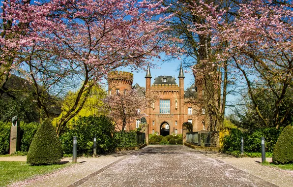 Trees, design, castle, the fence, Germany, garden, track, Sunny