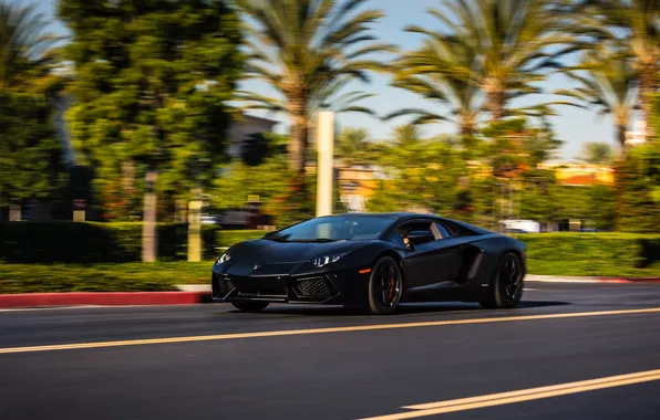 Road, markup, speed, lamborghini, black, front view, aventador, lp700-4