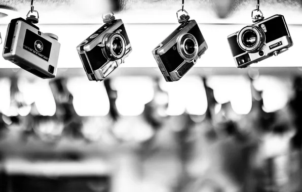 The camera, black and white, different, Canon, photo camera