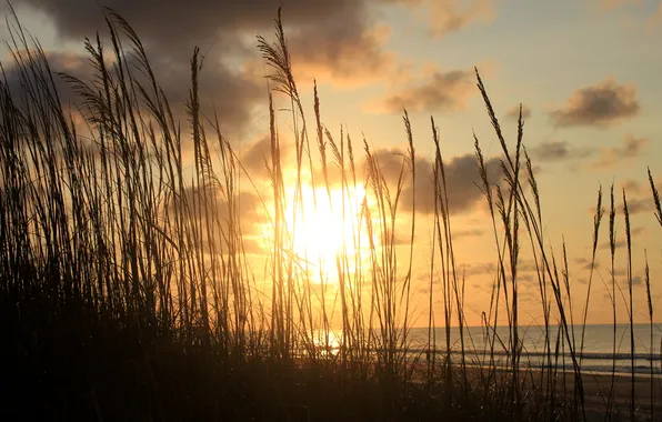 Sand, sea, grass, the sun, clouds, sunset