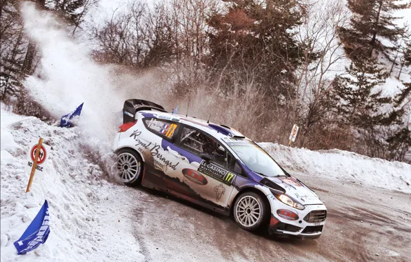 Picture Ford, WRC, Rally, Fiesta