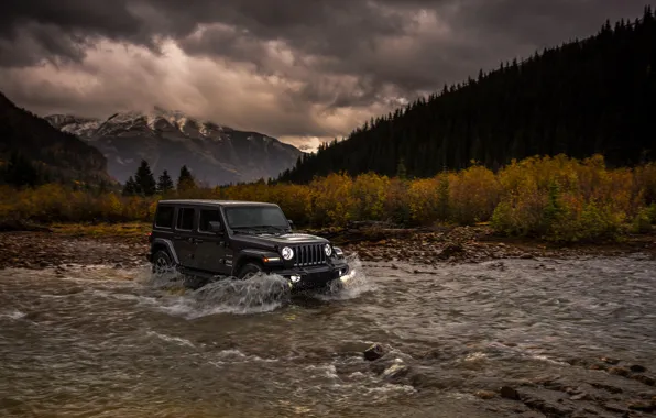 Stream, overcast, shrub, 2018, Jeep, dark gray, Wrangler Sahara