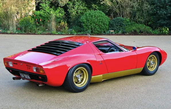 Wallpaper trees, red, red, lamborghini, rear view, Lamborghini, 1972 ...