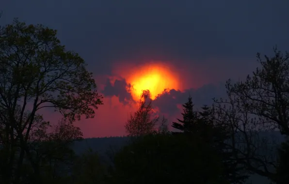 The sky, clouds, trees, sunset, nature, silhouette, glow