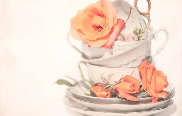 Picture roses, Cup, buds, saucers
